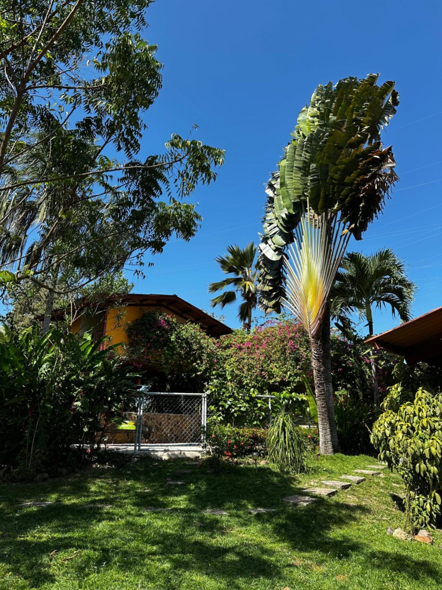 A Piece Of Paradise San Carlos Bagian luar foto