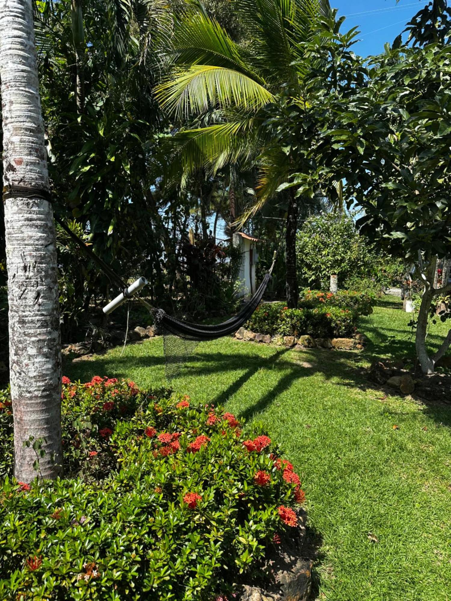 A Piece Of Paradise San Carlos Bagian luar foto