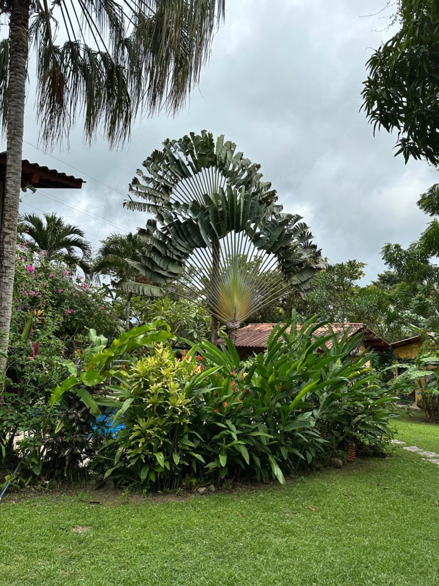 A Piece Of Paradise San Carlos Bagian luar foto