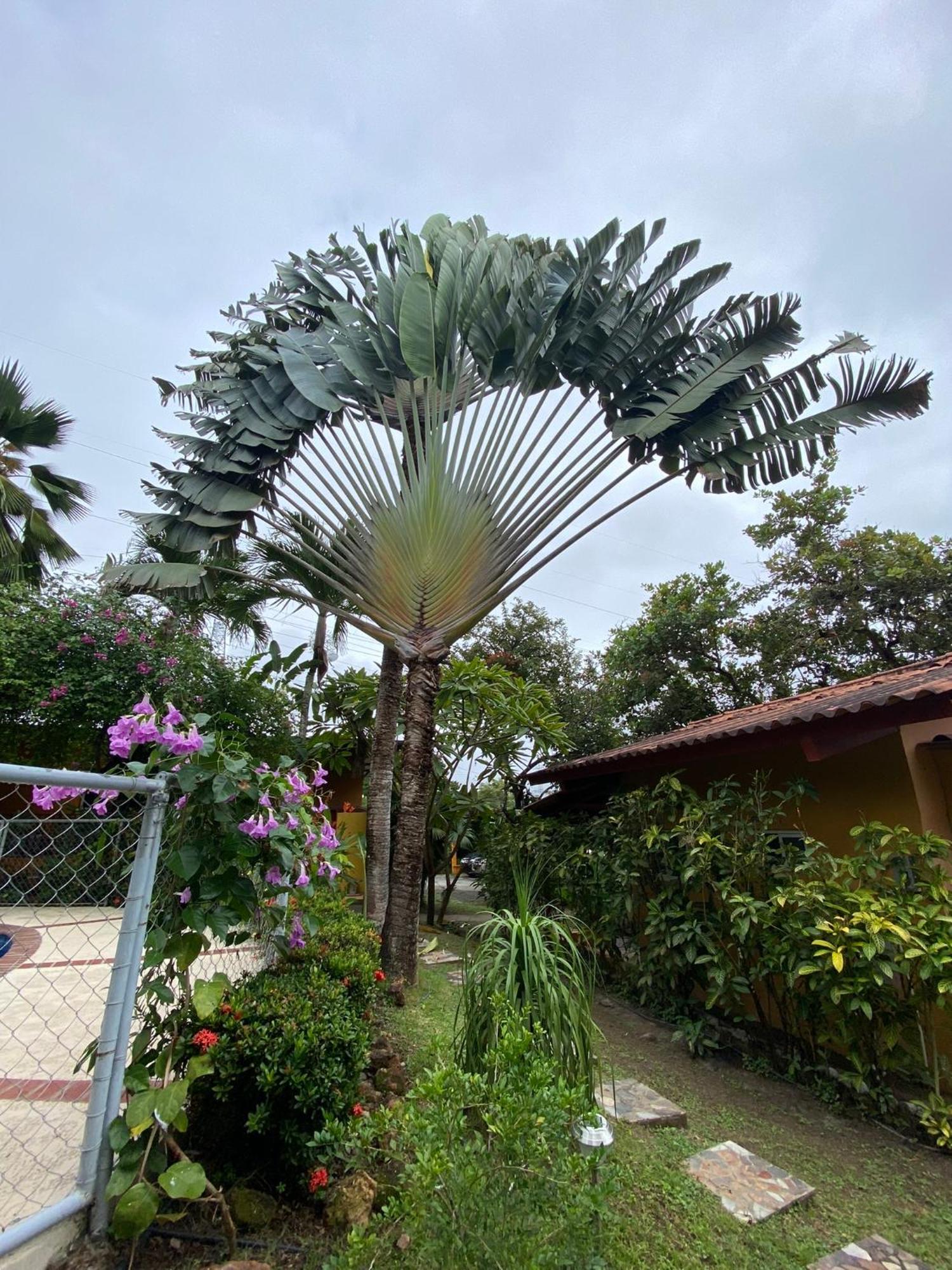 A Piece Of Paradise San Carlos Bagian luar foto